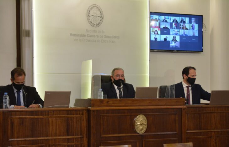 El Senado entrerriano aprobó la igualdad de género en ámbitos deportivos