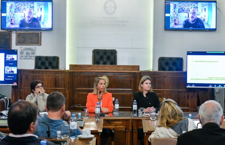 Senadoras y Senadores cumplieron con una nueva instancia de capacitación en el marco de la Ley Micaela